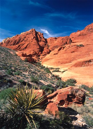 Sedimentary Rock Formations Red Rock Canyon Near Las Vegas, Nevada, USA Foto de stock - Con derechos protegidos, Código: 700-00052189