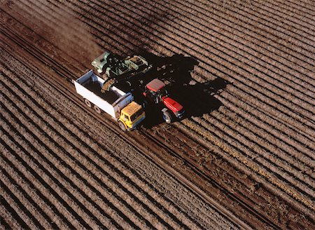 simsearch:700-00008476,k - Aerial View of Potato Harvest Carberry, Manitoba, Canada Foto de stock - Con derechos protegidos, Código: 700-00052708