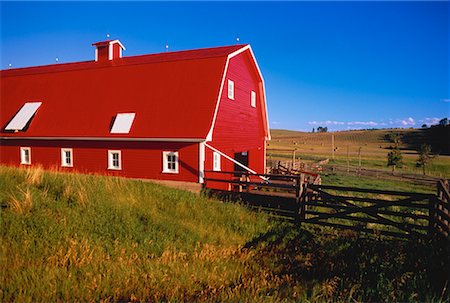 priddis - Rote Scheune und Farmland Priddis, Alberta, Kanada Stockbilder - Lizenzpflichtiges, Bildnummer: 700-00052738