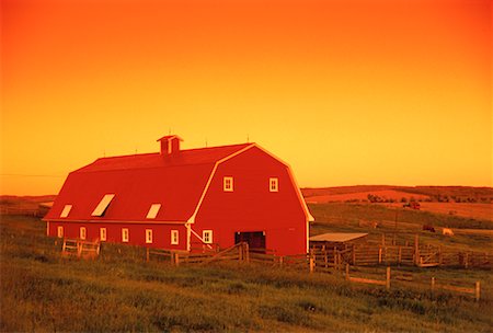 priddis - Rote Scheune und Ackerland bei Sonnenuntergang Priddis, Alberta, Kanada Stockbilder - Lizenzpflichtiges, Bildnummer: 700-00052739