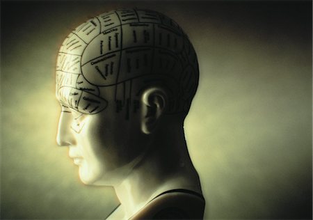 Mannequin Head with Phrenology Diagram Fotografie stock - Rights-Managed, Codice: 700-00053219