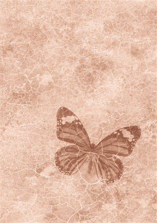 rock fossils - Butterfly Foto de stock - Con derechos protegidos, Código: 700-00053920