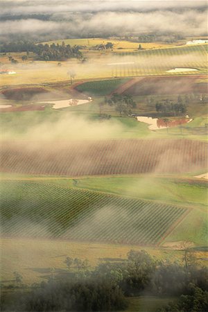 simsearch:700-01014818,k - Luftbild von Ackerland und Nebel Hunter Region New South Wales, Australien Stockbilder - Lizenzpflichtiges, Bildnummer: 700-00064714