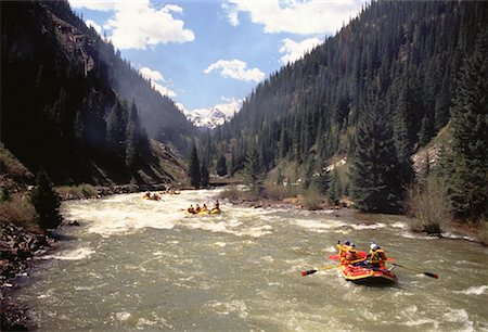 rio animas - White Water Rafting Animea River, Colorado, USA Foto de stock - Direito Controlado, Número: 700-00065014