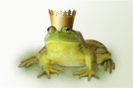 spell (magic) - Portrait of Frog Wearing Crown Stock Photo - Rights-Managed, Code: 700-00065863