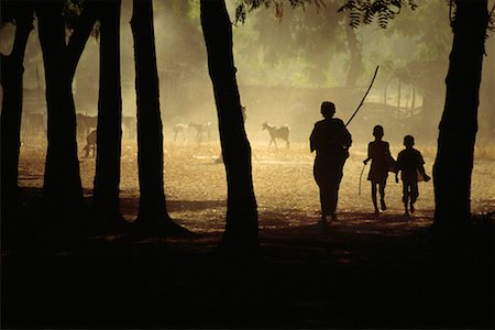 Silhouette des éleveurs de chèvres et des arbres au Nigeria Photographie de stock - Rights-Managed, Code: 700-00067793
