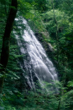 simsearch:700-00058390,k - Waterfall and Trees North Carolina, USA Stock Photo - Rights-Managed, Code: 700-00068971