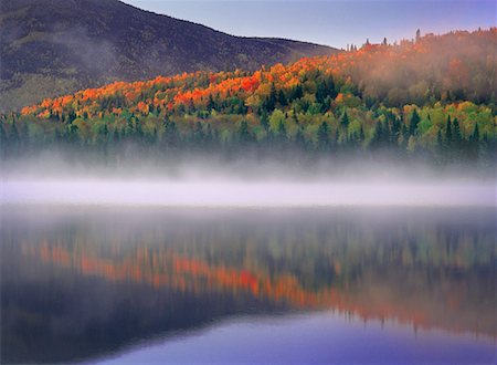 Overview of Trees and Lake in Autumn, Mount Carleton Provincial Park, New Brunswick, Canada Stock Photo - Rights-Managed, Code: 700-00061087