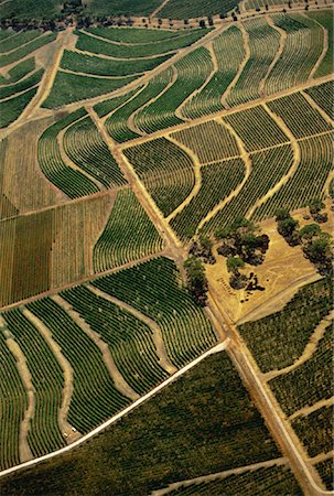 simsearch:700-01014768,k - Vue aérienne de la région de Claire vallée viticole, Australie-méridionale Australie Photographie de stock - Rights-Managed, Code: 700-00061714