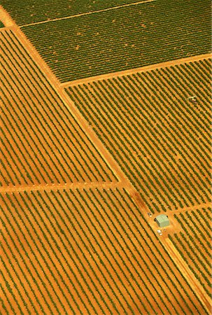 simsearch:700-00064700,k - Vue aérienne de la région de Claire vallée viticole, Australie-méridionale Australie Photographie de stock - Rights-Managed, Code: 700-00061712