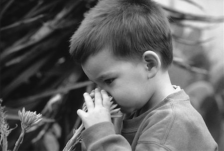 simsearch:700-00038046,k - Profile of Boy Smelling Flower Outdoors Stock Photo - Rights-Managed, Code: 700-00061754