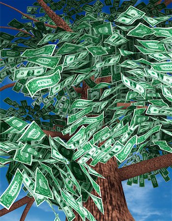 simsearch:700-00555961,k - Looking Up at Tree with American Currency as Leaves Fotografie stock - Rights-Managed, Codice: 700-00062309