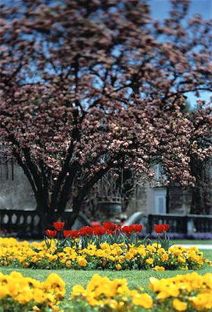 Flowers and Trees in Mirabell Garden, Salzburg, Austria Stock Photo - Rights-Managed, Code: 700-00062422