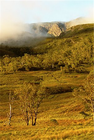 simsearch:862-07909355,k - Overview of Landscape and Trees With Fog, Cradle Mountain, Dove Lake, Tasmania, Australia Stock Photo - Rights-Managed, Code: 700-00062462