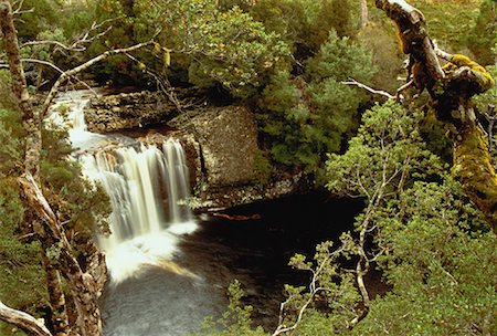 simsearch:700-00062785,k - Waterfall and Foliage The Waterfalls Walk, Cradle Mountain, Tasmania, Australia Foto de stock - Direito Controlado, Número: 700-00062538