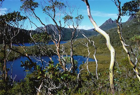simsearch:862-07909355,k - Trees and Mountains near Lake Lilla, Cradle Mountain Tasmania, Australia Stock Photo - Rights-Managed, Code: 700-00062546