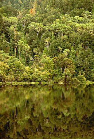 Trees and Reflections on Water The Gordon River Strahan, Tasmania, Australia Stock Photo - Rights-Managed, Code: 700-00062568