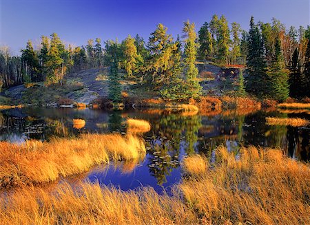 parc provincial whiteshell - Arbres et lac en automne Parc Provincial de Whiteshell (Manitoba), Canada Photographie de stock - Rights-Managed, Code: 700-00062628