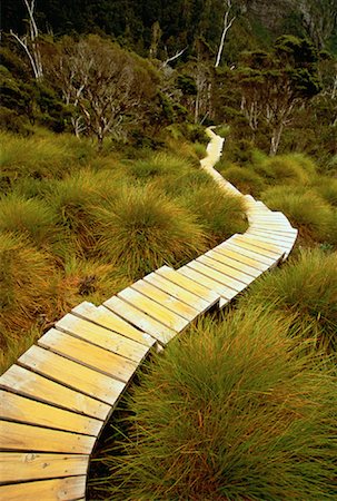 simsearch:700-00062785,k - Wooden Walkway through Forest Cradle Mountain, Dove Lake Tasmania, Australia Foto de stock - Direito Controlado, Número: 700-00062785