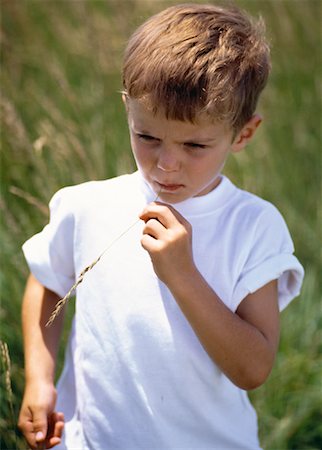 stati delle pianure - Boy Standing in Field of Tall Grass, Kansas, USA Fotografie stock - Rights-Managed, Codice: 700-00063035