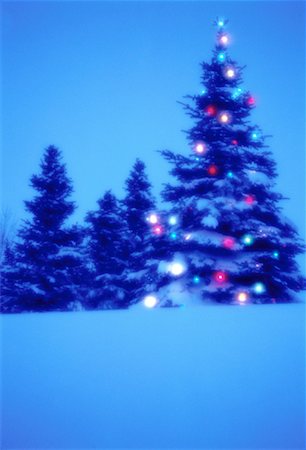 simsearch:700-00026443,k - Christmas Tree Outdoors at Night Calgary, Alberta, Canada Foto de stock - Direito Controlado, Número: 700-00063708