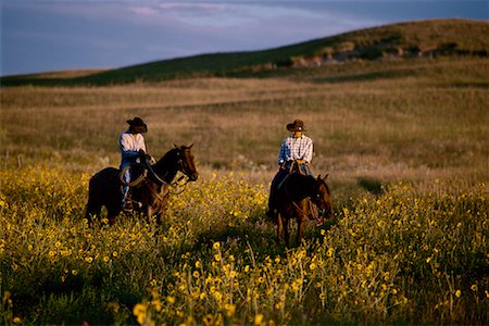 stati delle pianure - Two People on Horseback in Field Nebraska Sand Hills, Nebraska, USA Fotografie stock - Rights-Managed, Codice: 700-00074465