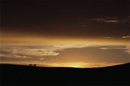Silhouette des gens à cheval au coucher du soleil, Nebraska Sand Hills, Nebraska, Etats-Unis Photographie de stock - Rights-Managed, Code: 700-00074466