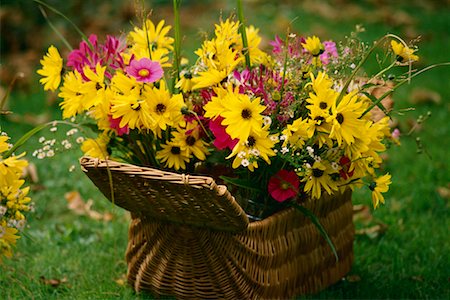 rhode island - Flowers in Basket Outdoors Block Island, Rhode Island, USA Stock Photo - Rights-Managed, Code: 700-00074475