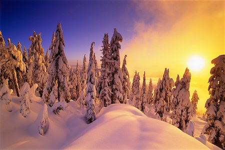 simsearch:700-00318646,k - Neige couvertes d'arbres et de paysage au coucher du soleil, de la chaîne côtière la Colombie-Britannique, Canada Photographie de stock - Rights-Managed, Code: 700-00076226