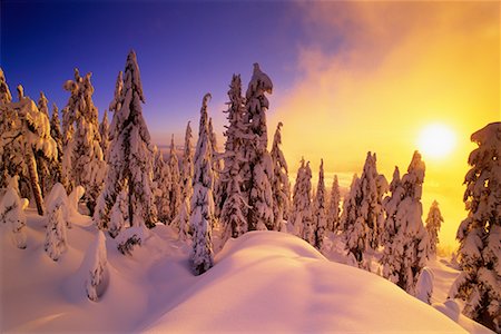 simsearch:700-00009187,k - Snow Covered Trees and Landscape At Sunset, Coast Mountains British Columbia, Canada Foto de stock - Con derechos protegidos, Código: 700-00076226