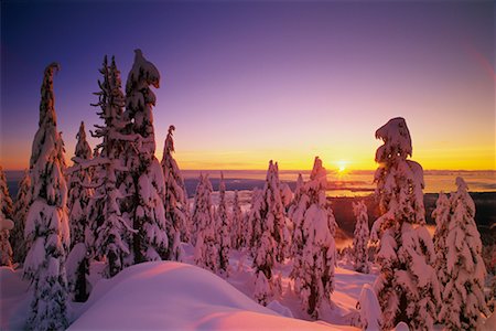 simsearch:700-00043657,k - Schnee bedeckte Bäume und Landschaft bei Sonnenuntergang, Coast Mountains in British Columbia, Kanada Stockbilder - Lizenzpflichtiges, Bildnummer: 700-00076227