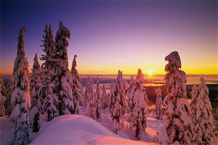 simsearch:700-00318646,k - Neige couvertes d'arbres et de paysage au coucher du soleil, de la chaîne côtière la Colombie-Britannique, Canada Photographie de stock - Rights-Managed, Code: 700-00076227
