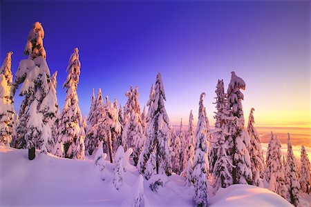 simsearch:700-00181770,k - Neige couvertes d'arbres et de paysage au coucher du soleil, de la chaîne côtière la Colombie-Britannique, Canada Photographie de stock - Rights-Managed, Code: 700-00076229