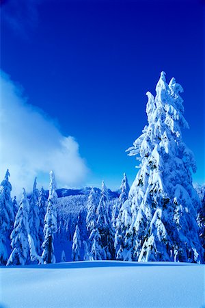 simsearch:700-06383810,k - Snow Covered Trees and Landscape Coast Mountains British Columbia, Canada Stock Photo - Rights-Managed, Code: 700-00076244