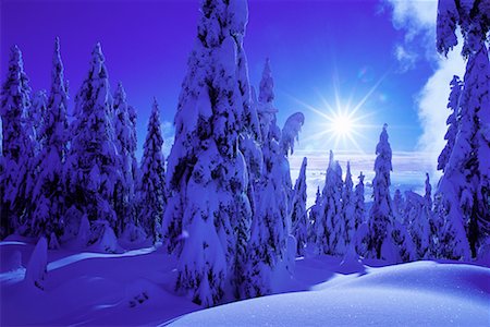 simsearch:700-00009187,k - Snow Covered Trees and Landscape Coast Mountains British Columbia, Canada Foto de stock - Con derechos protegidos, Código: 700-00076245