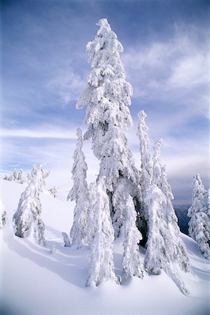 simsearch:700-00076228,k - Snow Covered Trees and Landscape Coast Mountains British Columbia, Canada Stock Photo - Rights-Managed, Code: 700-00076240