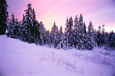 simsearch:700-00043657,k - Schnee bedeckte Bäume und Landschaft bei Sonnenuntergang, Coast Mountains in British Columbia, Kanada Stockbilder - Lizenzpflichtiges, Bildnummer: 700-00076242