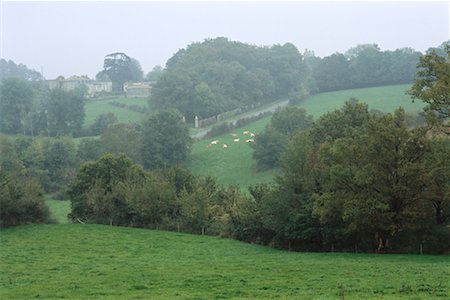 simsearch:841-07540724,k - Overview of Landscape with Horses In Field Near Atlantic Coast, France Stock Photo - Rights-Managed, Code: 700-00076651