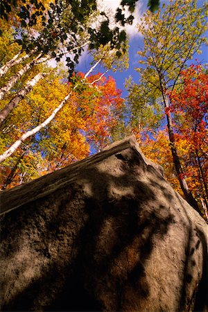 simsearch:700-00076768,k - Nahaufnahme von Boulder im Wald im Herbst Algonquin Provincial Park, Ontario, Kanada Stockbilder - Lizenzpflichtiges, Bildnummer: 700-00076768