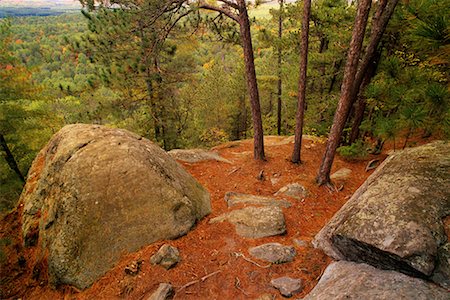 simsearch:700-00076768,k - Felsen im Wald im Herbst Algonquin Provincial Park, Ontario, Kanada Stockbilder - Lizenzpflichtiges, Bildnummer: 700-00076770