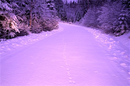 simsearch:600-00076783,k - Road through Trees in Winter Algonquin Provincial Park Ontario, Canada Foto de stock - Con derechos protegidos, Código: 700-00076784
