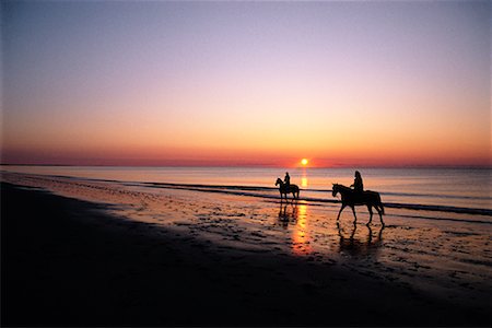 simsearch:862-08091517,k - Silhouette der Menschen Ausritt am Strand bei Sonnenuntergang Sea Island, Georgia, USA Stockbilder - Lizenzpflichtiges, Bildnummer: 700-00076927