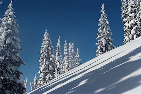 simsearch:700-00079627,k - Couverte de neige, arbres et paysages, Montana, USA Photographie de stock - Rights-Managed, Code: 700-00077155