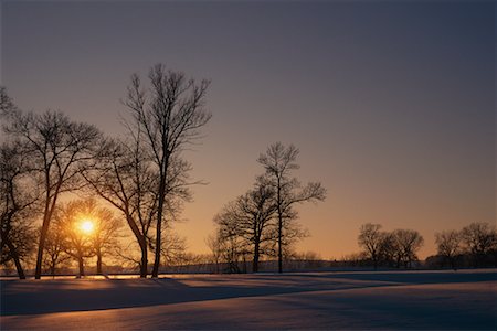 stati delle pianure - Trees and Landscape in Winter At Sunset South Dakota, USA Fotografie stock - Rights-Managed, Codice: 700-00077158