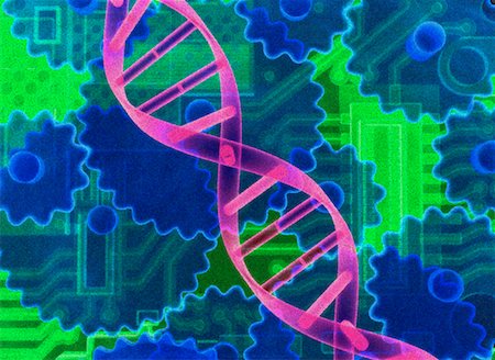 DNA Strand, Gears and Circuit Board Stock Photo - Rights-Managed, Code: 700-00077350