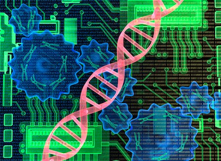 picture for futuristic biotechnology - DNA Strand, Gears and Circuit Board Foto de stock - Con derechos protegidos, Código: 700-00077351