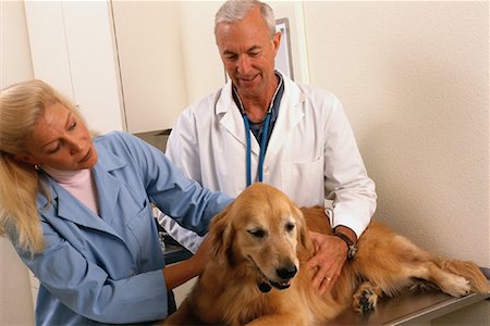 simsearch:700-00641883,k - Male and Female Veterinarians With Dog in Office Stock Photo - Rights-Managed, Code: 700-00078367