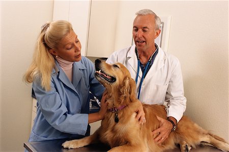 simsearch:700-00641883,k - Male and Female Veterinarians With Dog in Office Stock Photo - Rights-Managed, Code: 700-00078368