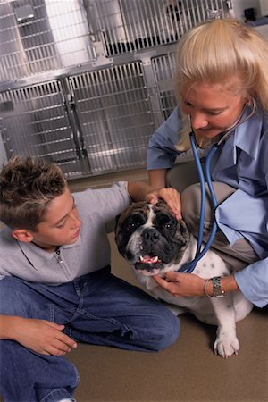 Boy with Dog at Veterinarian's Office Stock Photo - Rights-Managed, Code: 700-00078362