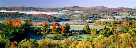 Overview of Landscape and Trees In Rural Area in Autumn Peacham, Vermont, USA Foto de stock - Con derechos protegidos, Código: 700-00078905